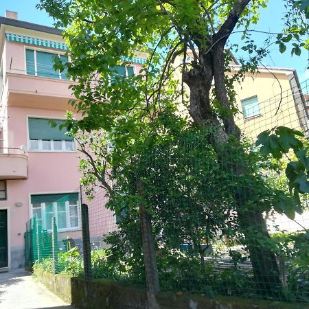 Casa Delle Arance Apartamento Monterosso al Mare Exterior foto